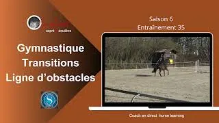 Miniature : Gymnastique Transitions Ligne d obstacles @coachendirecthorselearning