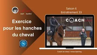 Miniature : Gymnastique d'assouplissement : les hanches et l'équilibre du cheval.