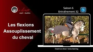 Miniature : les Flexions, Assouplissement pour le confort du cheval.@coachendirecthorselearning