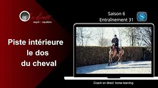 Miniature : Piste intérieure Le dos du cheval
