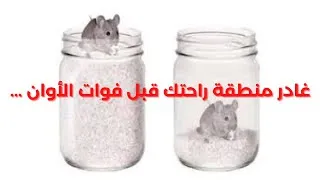 Miniature : how to leave your #comfortzone ||  كيف الخروج من #منطقة_الراحة
