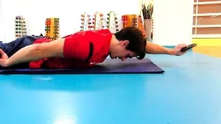 Miniature : Shoulder stability and strengthening / Stabilité et renforcement de l'épaule