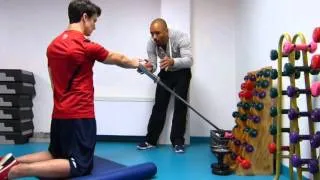 Miniature : Shoulder stability and strengthening / Stabilité et renforcement de l'épaule