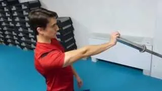 Miniature : Shoulder stability and strengthening / Stabilité et renforcement de l'épaule