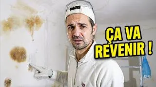 Miniature : Murs Tâchés : La Méthode Naturelle pour Vraiment les Éliminer (bâti ancien) 🍀