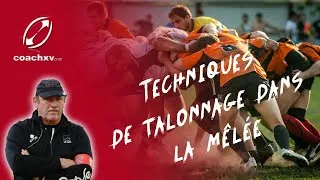 Miniature : [4/6] Technique du talonnage dans la mêlée⎢RUGBY XV⎢Serge LAÏRLE