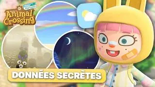 Miniature : 🌤️ La météo sur Animal Crossing n'est PAS aléatoire !!