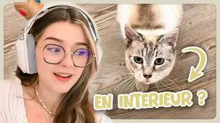 Miniature : 🐈😺 Comment se comporte le CHAT que j'ai recueilli à l'intérieur ?