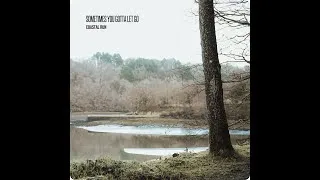 Miniature : Coastal Run - Sometimes You Gotta Let Go (Vizualizer)