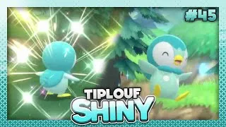 Miniature : Live! Piplup / Tiplouf shiny sur Pokémon Perle Scintillante après 12'304 SRs! ⭐