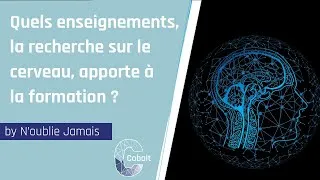 Miniature : #INNOVATION  Quels enseignements la recherche sur le cerveau apporte à la formation