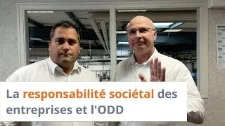 Miniature : La responsabilité sociétale des entreprises et l'ODD