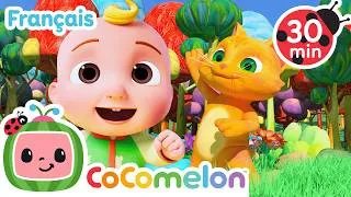 Miniature : Danse comme les animaux ! 🕺🐈 CoComelon en Français 🍉 Comptines des Animaux