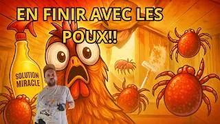 Miniature : En finir Facilement avec les Poux de Poulailler, 100% naturel et pas cher!
