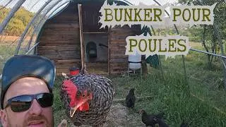 Miniature : Tout quitter pour Elever des Poules a l'etranger