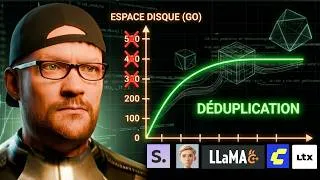 Miniature : J'ai divisé par 100 le poids des installations IA. Sauvons nos SSD !