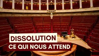 Miniature : La dissolution : qu'est-ce que c'est ? Quels enjeux ?