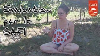 Miniature : Evaluation par le Groupe d'Action FInancière - GAFI #3