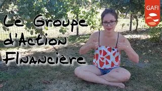 Miniature : Missions du Groupe d'Action FInancière - GAFI #1