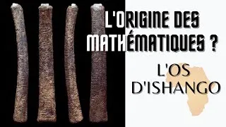 Miniature : L'origine des mathématiques ? L'os d'Ishango.