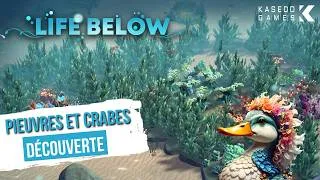 Miniature : Life Below 🪸🐟 - [FR] - Ep.07 - Une marée noire ravage les biomes !!!