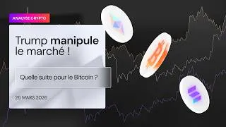 Miniature : Trump manipule le marché ?