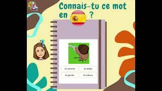 Miniature : Connais-tu ce mot en espagnol ? #coliglote