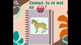 Miniature : Connais-tu ce mot en anglais ? #coliglote