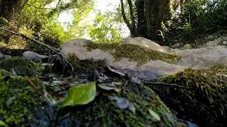 Miniature : Tchaïkovski - Juin (les saisons)