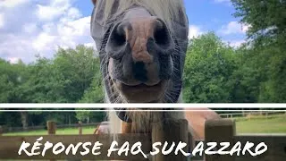 Miniature : RÉPONSE À LA FAQ SUR AZZARO 🐴