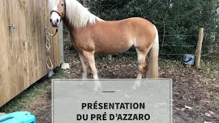 Miniature : PRÉSENTATION DU PRÉ D’AZZARO 🦄