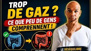 Miniature : Gaz intestinaux : normal ou signe de déséquilibre ?