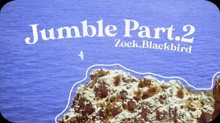 Miniature : Jumble - Part. 2 (Zock - Blackbird)
