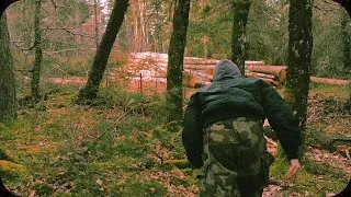 Miniature : M.P.L.D. - Part. 2