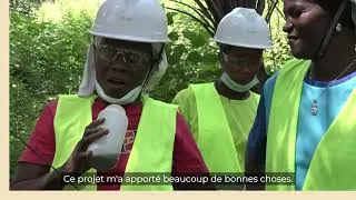 Miniature : Femmes et biodiversité : recenser les insectes des forêts guinéennes