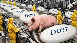 Miniature : Si le savon à base de porc était de nouveau fabriqué en France ! Processus Complet de Production