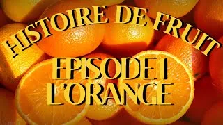 Miniature : L’Orange 🍊 : Origine, histoire et secrets du fruit du soleil. Histoire de fruits #fruits #nutrition