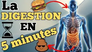 Miniature : Comment fonctionne la DIGESTION ? Explication simple en 5 minutes. #nutrition  #digestion  #comment