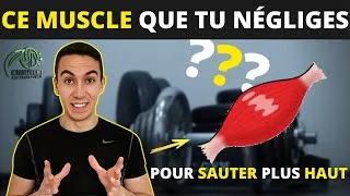 Miniature : LES ABDOS POUR SAUTER PLUS HAUT