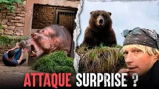 Miniature : Ils adoraient leurs animaux de compagnie SAUVAGES, mais ils ont commis la même ERREUR