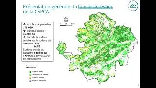 Miniature : Webinaire : la gestion forestière de A à Z