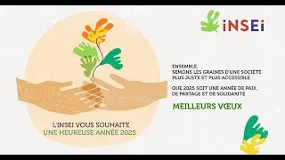 Miniature : L'INSEI vous souhaite une heureuse année 2025 !