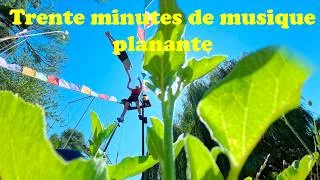 Miniature : 🎵 Trente minutes de musique planante 🎵
