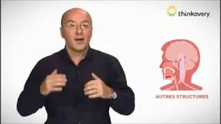 Miniature : Maladie de Parkinson : Zoom sur les signes et les causes de la pathologie