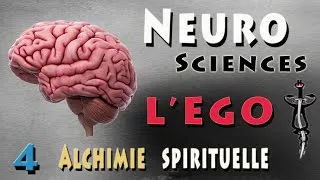 Miniature : 3/4  L'EGO vu par les Neurosciences