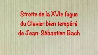 Miniature : 4e partie Dessine moi une fugue : La strette