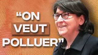 Miniature : L'injonction contradictoire de la transition écologique - Sophie Dubuisson-Quellier