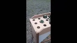 Miniature : jeu de la grenouille