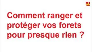 Miniature : Comment ranger et protéger vos Forets / Mèches ?