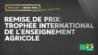 Miniature : REMISE DE PRIX TIEA 2026